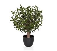 Plante artificielle - hjh OFFICE - Olive S - Vert - Plastique