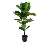 Plante artificielle House Nordic Fiddle Leaf Vert 46x36x100 cm