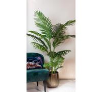 Plante artificielle Howea Forsteriana - palmier artificiel de 160 cm pour votre maison sans allergies