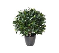 Plante Artificielle / Laurier artificiel Boule - Dim : 65 x 60 cm --