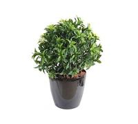 Plante Artificielle / Laurier artificiel Buisson - Dim : 45 x 42 cm --