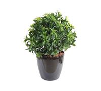 Plante Artificielle / Laurier artificiel Buisson - Dim : 55 x 46 cm --