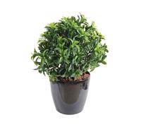 Plante Artificielle / Laurier artificiel Buisson - Dim : 70 x 58 cm --