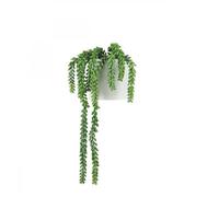 Plante artificielle - LIGNE DECO - Succulente retombante - 44cm - Sans entretien - Vert