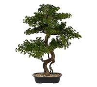 Plante Artificielle Magnifique Bonsaï en Pot H 86 cm - Atmosphera