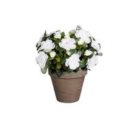 Plante artificielle Mica Decorations Azalea Blanc Polyester H31xl26xL26cm