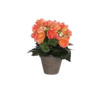 Bégonia Artificielle Rose Saumon En Pot H30