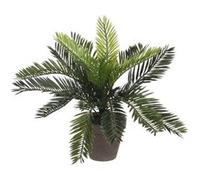 MICA Decorations Plante artificielle Palmier Cycas dans pot de fleurs Stan H33 x Ø34 cm Vert