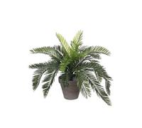 Plante artificielle Mica Decorations Cycas Vert Plastique H37xl44xL44cm