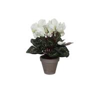 Cyclamen Artificielle Blanc En Pot H30