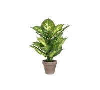 Mica Decorations Plante artificielle Dieffenbachia - 30x30x40 cm - Plastique - Vert