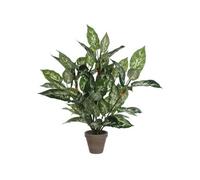 Plante artificielle Mica Decorations Dieffenbachia Vert Polyester H70xl55xL55cm