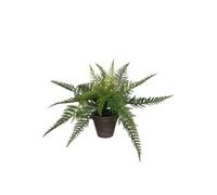 Plante artificielle Mica Decorations Fern Vert Polyester H38xl50xL50cm