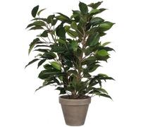 Mica Decorations Plante artificielle Ficus Natasja Vert Polyester H40 x L30 x L30 cm G