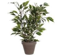 Mica Decorations Plante artificielle ficus natasja - H40 cm - Panaché