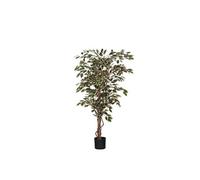 Plante artificielle Mica Decorations Ficus Vert Polyester H150xl75xL75cm
