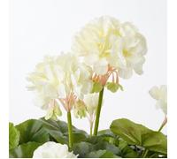 Plante artificielle - Mica Decorations - Géranium - Crème - H34 x Ø20 cm - Sans entretien