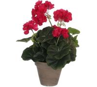 Mica Decorations Géraniums plante artificielle dans pot de fleurs Stan - H34 x Ø20 cm - Rose foncé