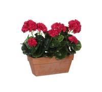 MICA Decorations Géranium, D.Rosa, 40
