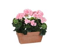 Mica Decorations Géranium Artificielle - L29 x l13 x H40 cm - Rose