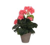Géranium Artificielle Rose Saumon En Pot H34