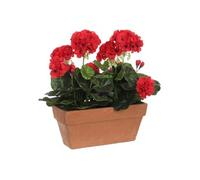Mica Pot de balcon Géranium Terra Rouge 29 x 13 x 40 cm