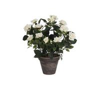 Plante artificielle Mica Decorations Rosebush Blanc Polyester H33xl25xL25cm