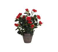 Plante artificielle Mica Decorations Rosebush Rouge Polyester H33xl25xL25cm