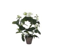 Plante artificielle Mica Decorations Stephanotis Blanc Polyester H50xl40xL40cm