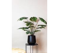 Plante artificielle Monstera Deliciosa - plante à trous - 80 cm