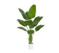 Plante Artificielle Oiseau de Paradis 150cm - Grande Plantes Bananier Artificielle Interieur avec Pot Blanc, Fausses Arbre Artificiel Parfaites pour Décoration d'Intérieur de Bureau ou Salon ou Maison