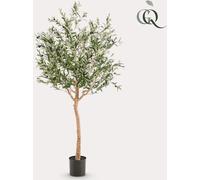 Plante artificielle Olea europaea - olivier de 180 cm pour une décoration d'intérieur élégante et facile d'entretien