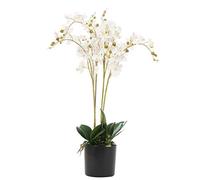 Plante Artificielle orchidée Blanc 60 cm