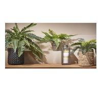 Plante Artificielle Palmier Cycas dans un Pot de Fleurs Stan - H33 x Ø34 cm - Vert - Mica Decorations