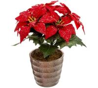 Plante Artificielle - PARIS PRIX - Poinsettia - Rouge - 22cm - Pratique & Utile