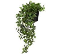Plante artificielle / plante suspendue EPIPREMNUM CLIMB Lierre 50 cm vert hjh OFFICE Vert