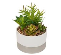 Plante Artificielle Pot céramique Bicolore D 20 cm - Atmosphera