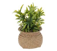 Plante artificielle Pot de roseau - H.20 cm - Atmosphera créateur d'intérieur