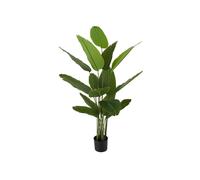 Plante artificielle Present Time Canna Vert 86x150 cm