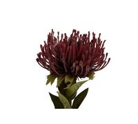 Plante artificielle Present Time Protea Flower Small Rouge 8,9x59,7 cm