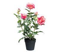 Plante artificielle rosier 58 cm en rose, pot en plastique 14x13 cm - Plante pour décoration facile d'entretien
