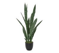 Atmosphera - Plante artificielle Sansevieria Toby 90 cm Vert G