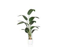 STRELITZIA - Plante artificielle Vert