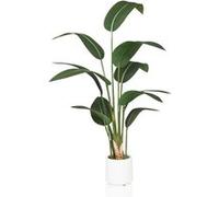 HJH Office Plante artificielle STRELITZIA Vert 150 cm en pot blanc