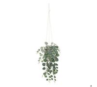 Atmosphera Créateur d'intérieur - Plante Suspendue en Pot "Lour" 80cm Blanc & Vert G