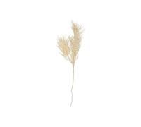 Plante artificielle Tige de fougère asperge Present Time Blanc 25,4x86,4 cm