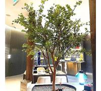 Plante Artificielle Verte Feuille de Cloche Japonaise Fausse Falsification de squel