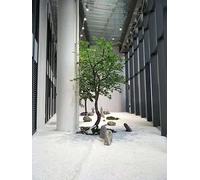 Plante Artificielle Verte Feuille de Cloche Japonaise Fausse Planche à Fond en Bois Ivre en Pot de Cloche en Pot pour House de Bureau Salon Salon décoration intérieure h 1,6 m / 5,2ft