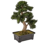 Plante bonsa en soie de c dre vert Nearly Natural 4103 de 61 cm