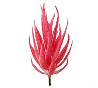 Plante d'aloès artificielle décorative réaliste PE et EVA pour une utilisation en intérieur, 12 cm x 7 cm x 2 cm, vert, décor floral réaliste pour (D)
